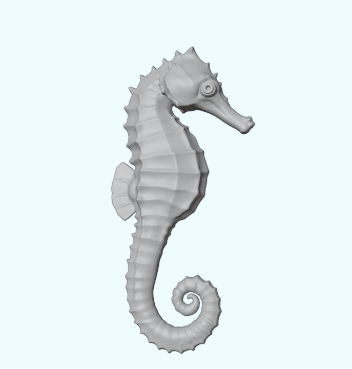 Seahorse