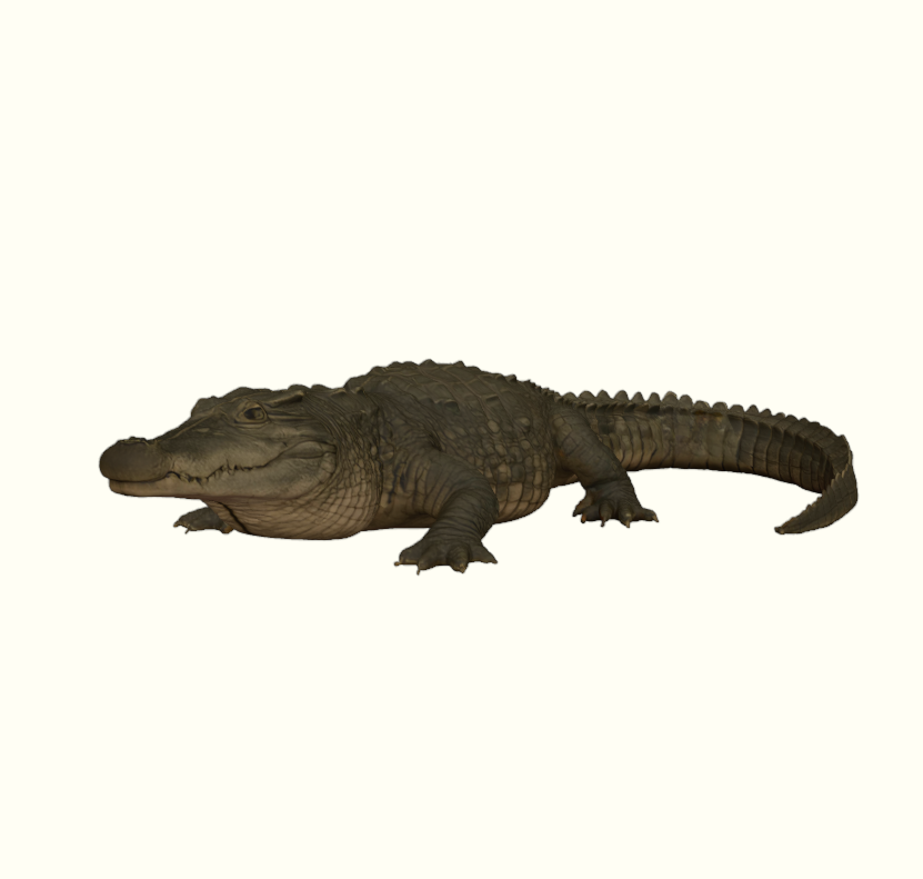 Crocodile Figurine