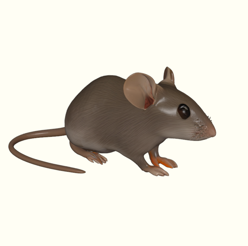 House Mouse Figurine