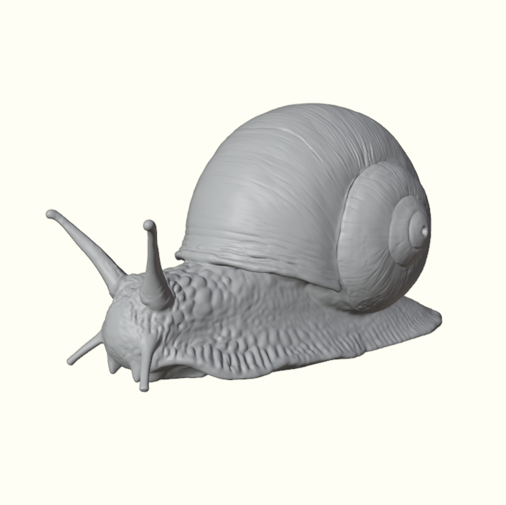 Woodland Garden Snail