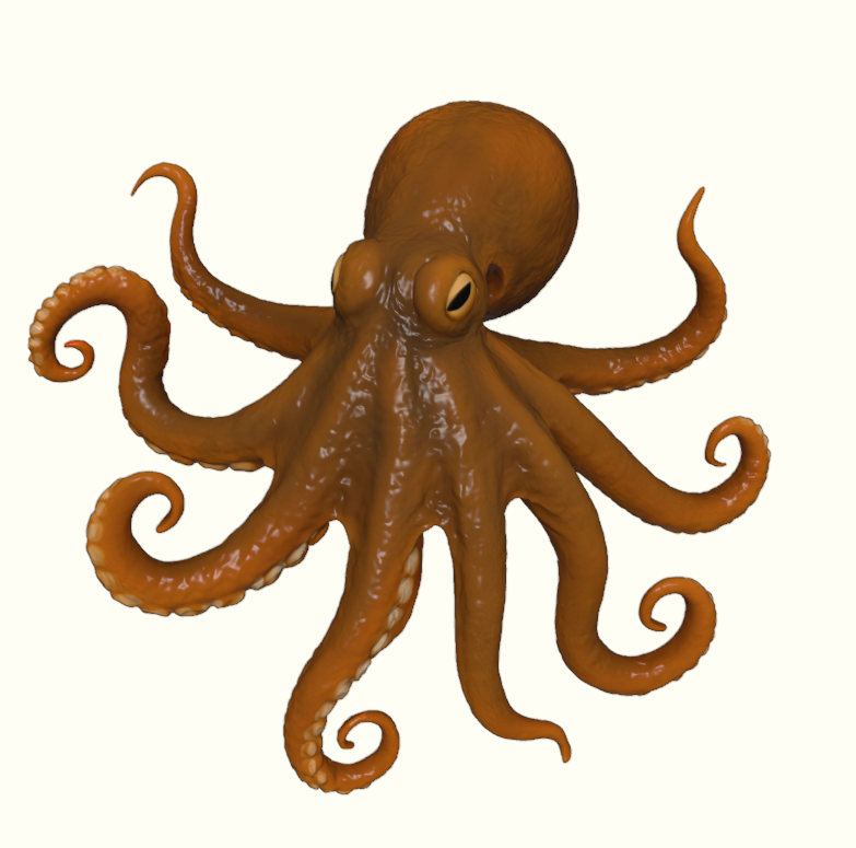 Curious Reef Octopus