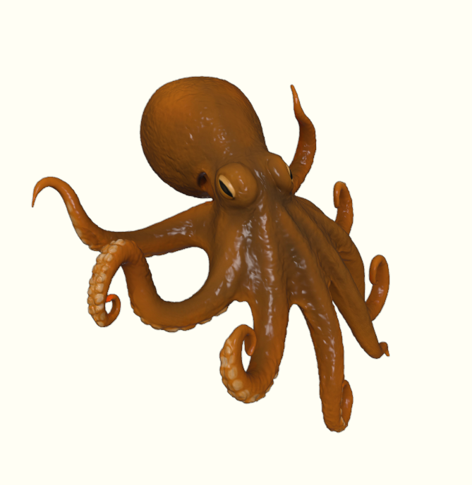 Curious Reef Octopus