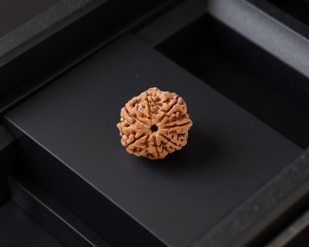 7 Mukhi Rudraksha
