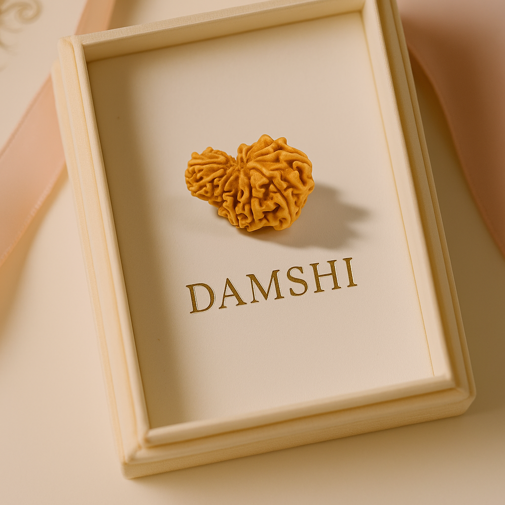 Garbh Gauri Rudraksha