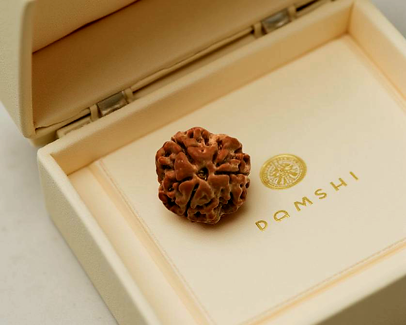 3 Mukhi Rudraksha