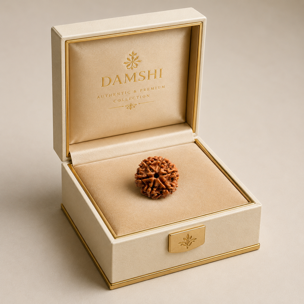 6 Mukhi Rudraksha