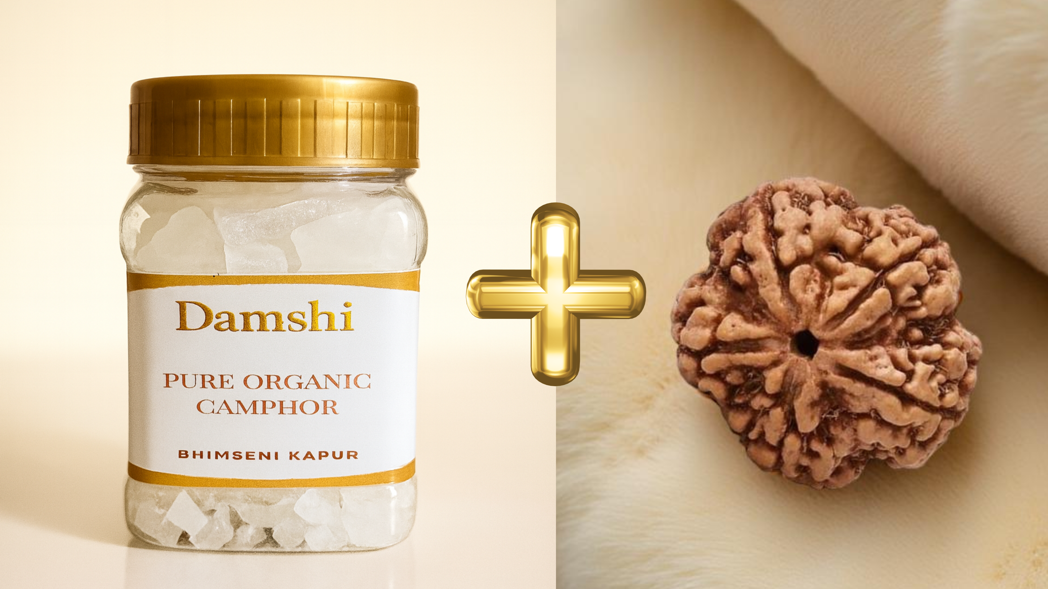 Bhimseni Camphor and 5 mukhi Rudraksha