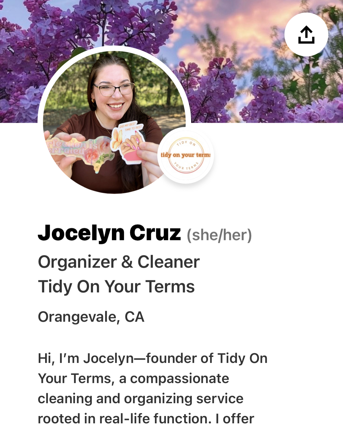 Virtual Tidy on Your Terms Consult