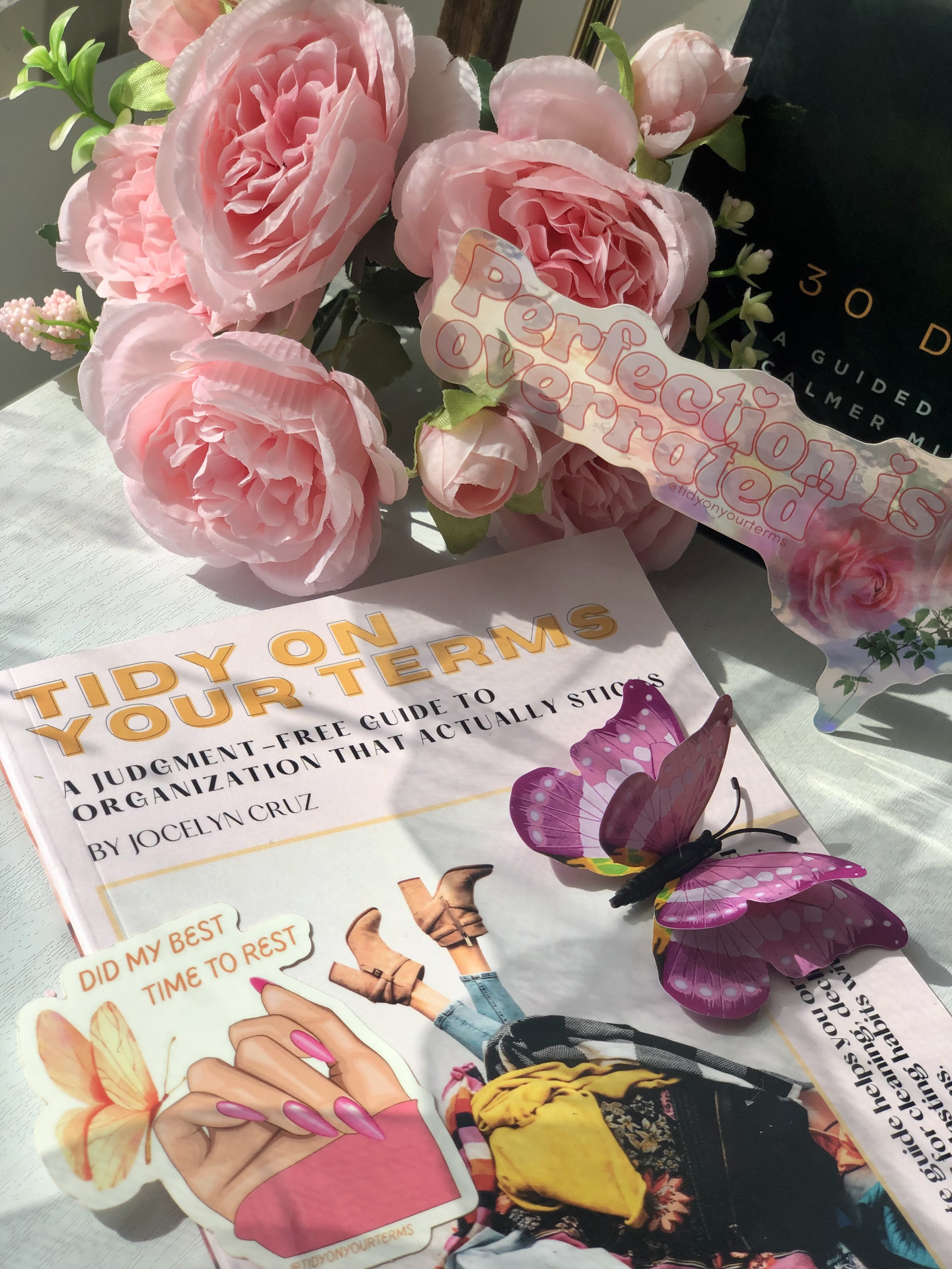 Tidy on Your Terms (PAPERBACK)