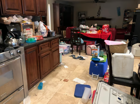 Maintenance Clean