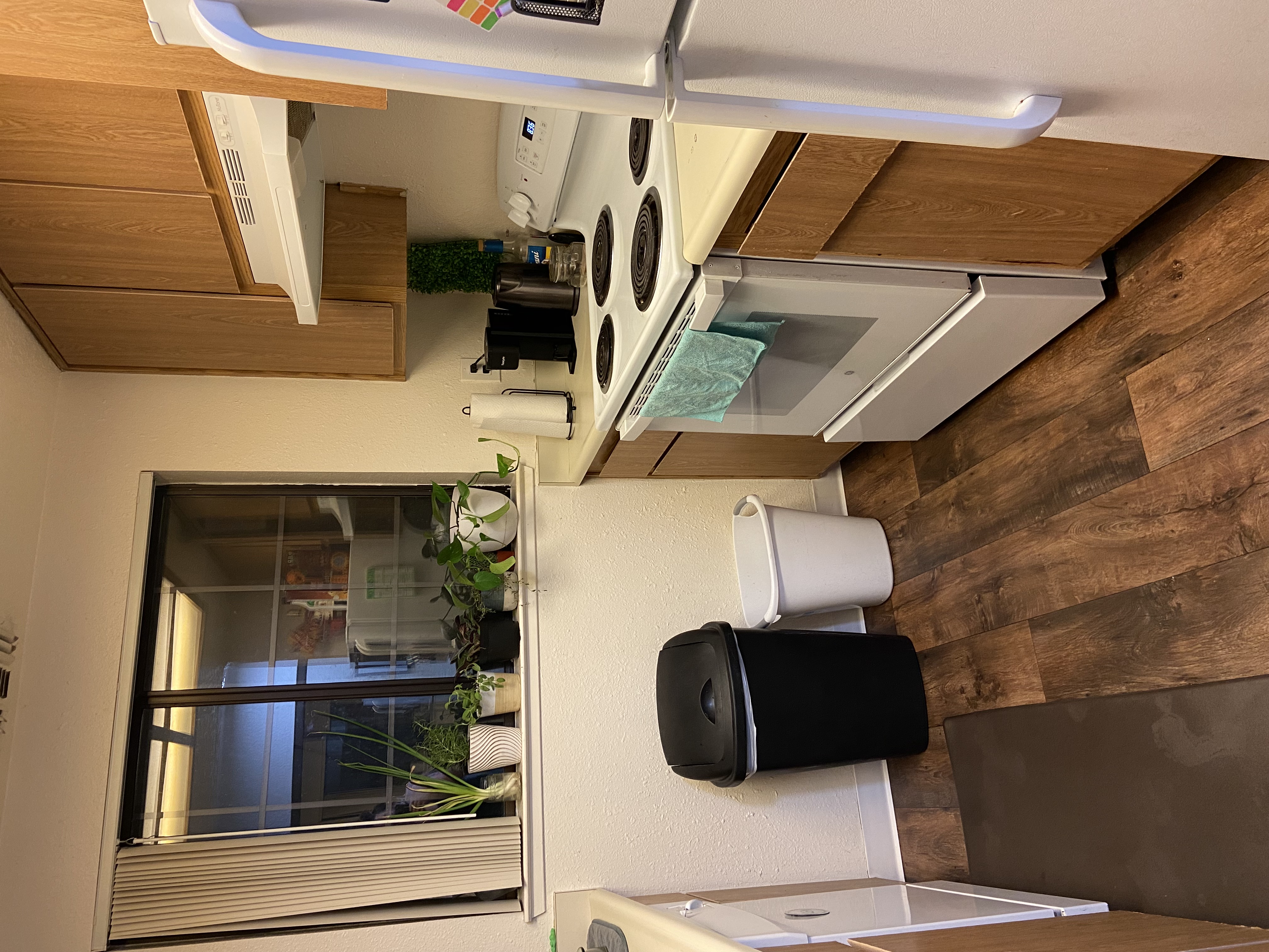 Medium-Deep Clean