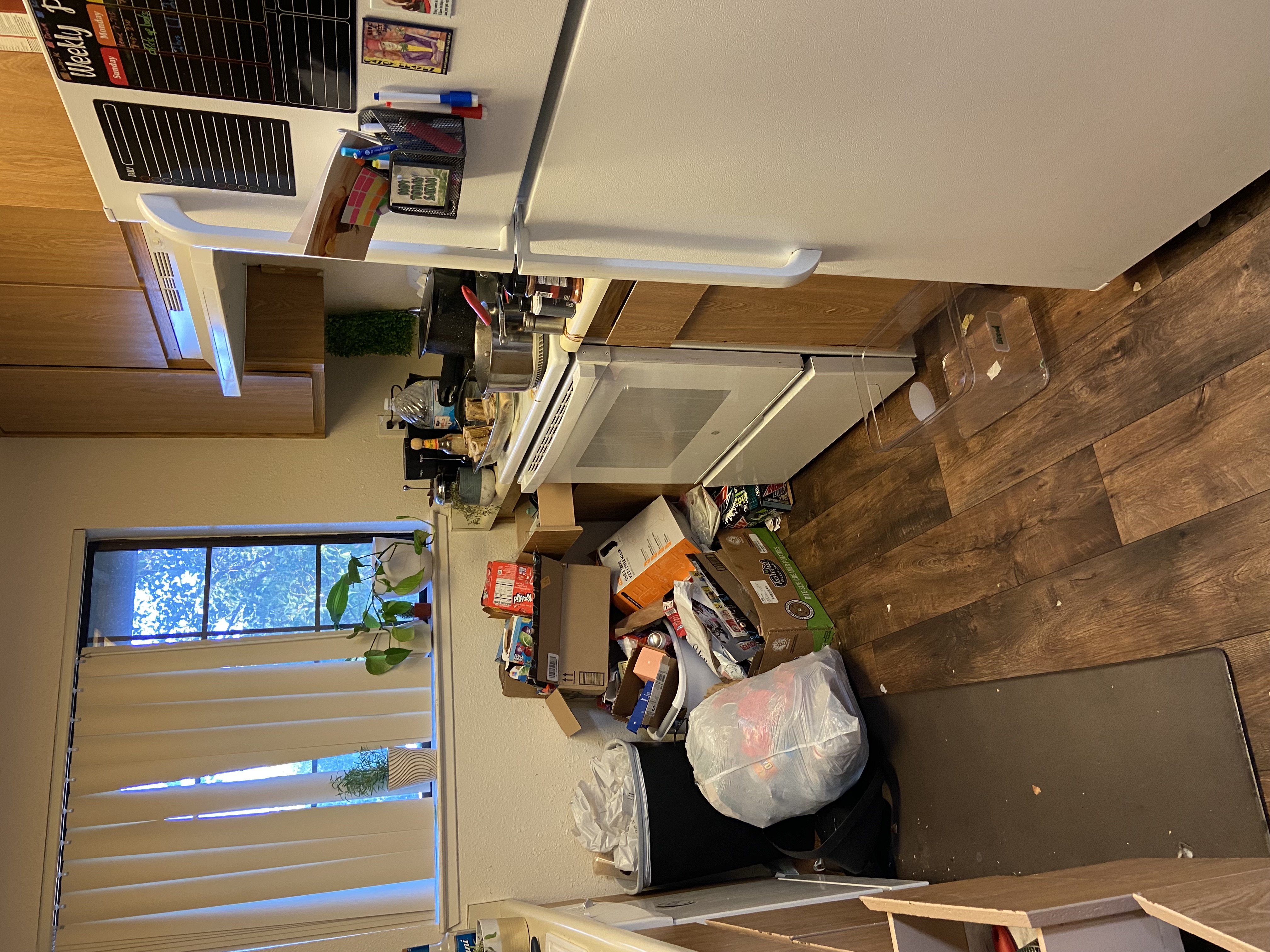 Medium-Deep Clean