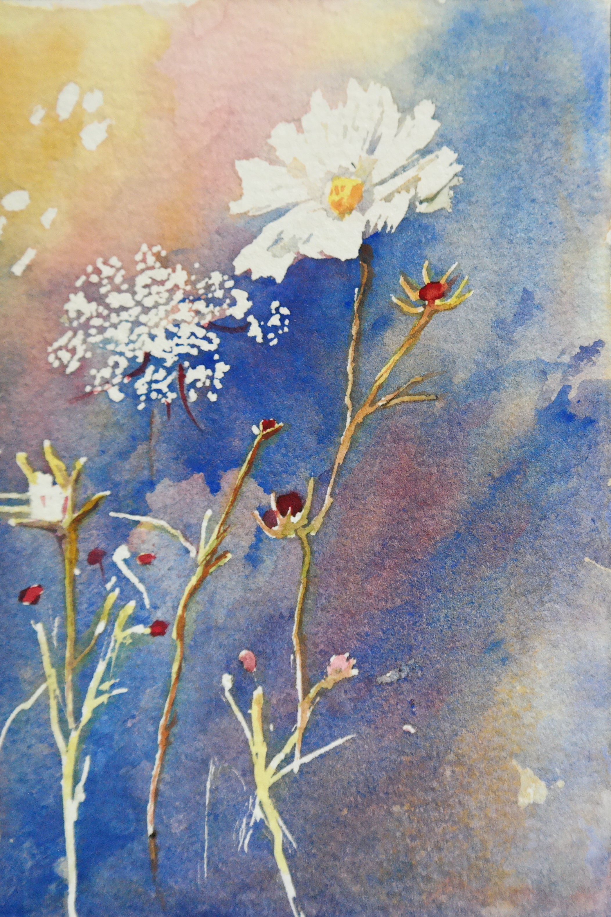 the queen and the cosmos