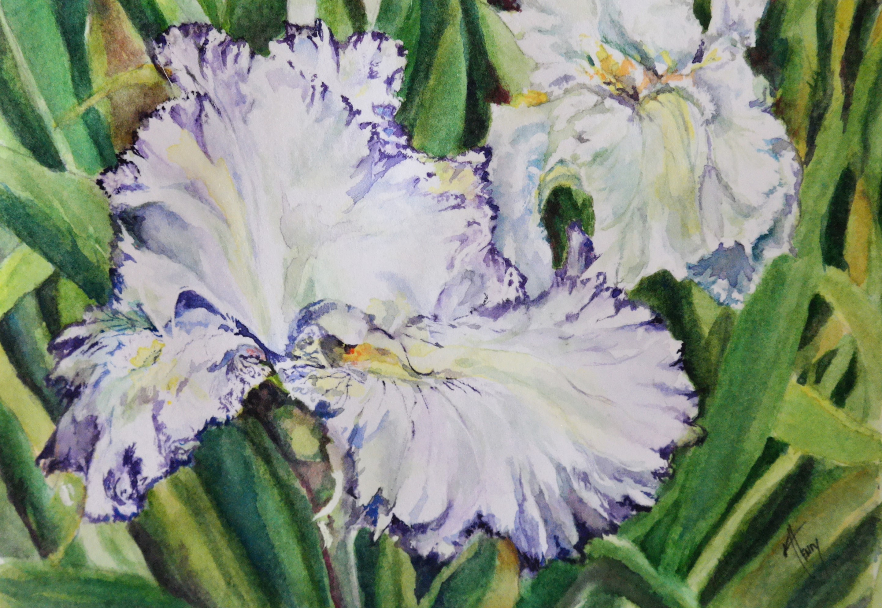 irises sing kerrieokie
