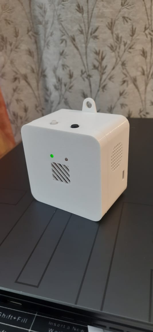 Bannar gas detector with battery backup