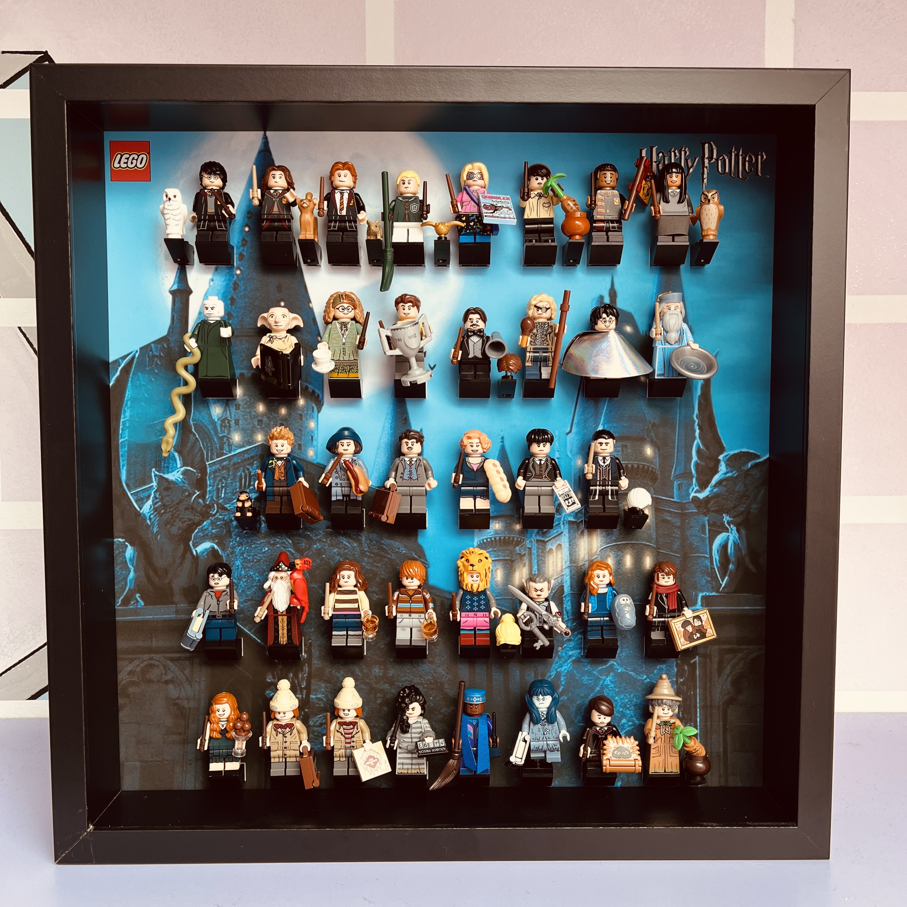 Serie Harry Potter 1 e 2  Display Medium Frame 