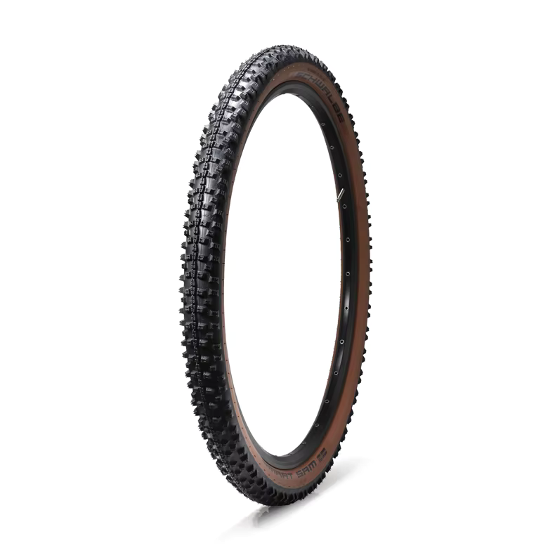 Schwalbe Tire 