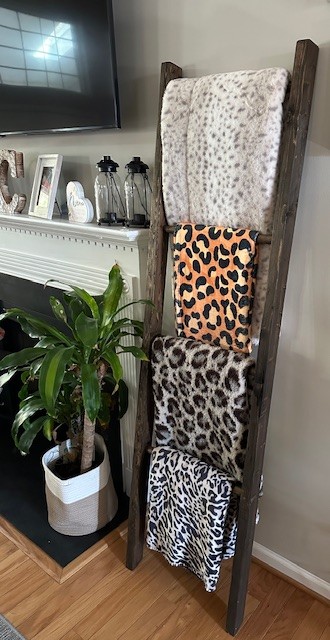 Decorative Blanket Ladder 