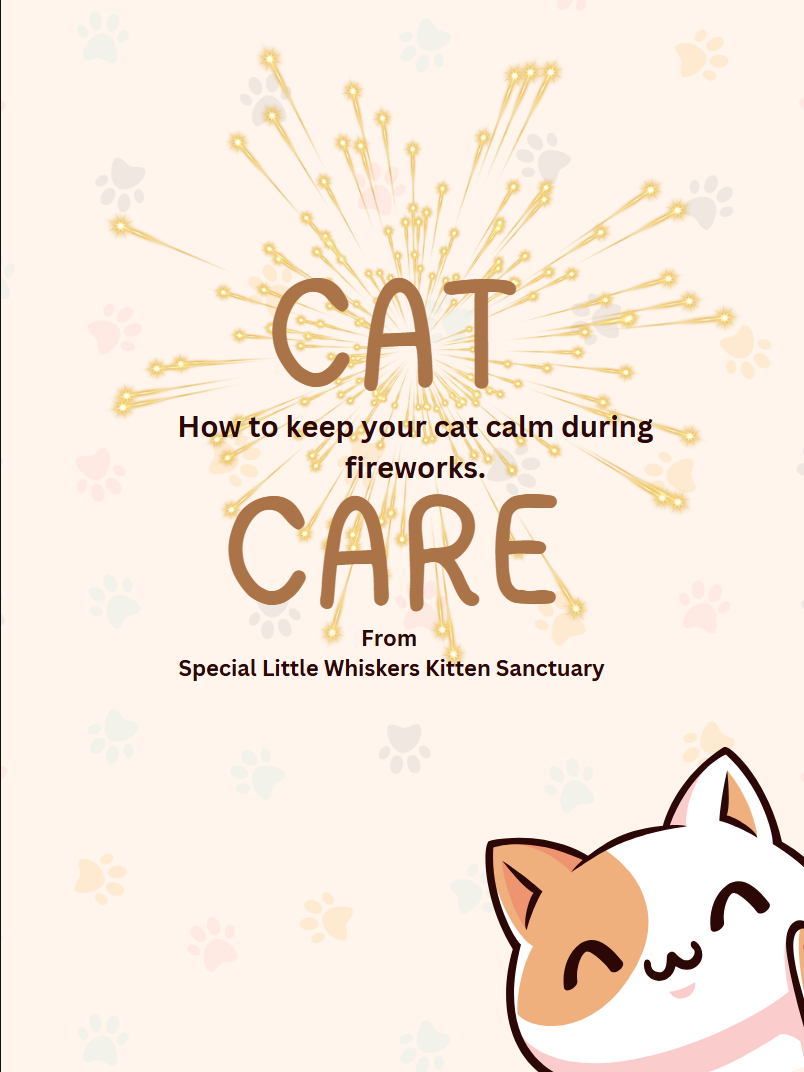 Cat Care Guide