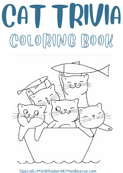 Cat Trivia Coloring Book