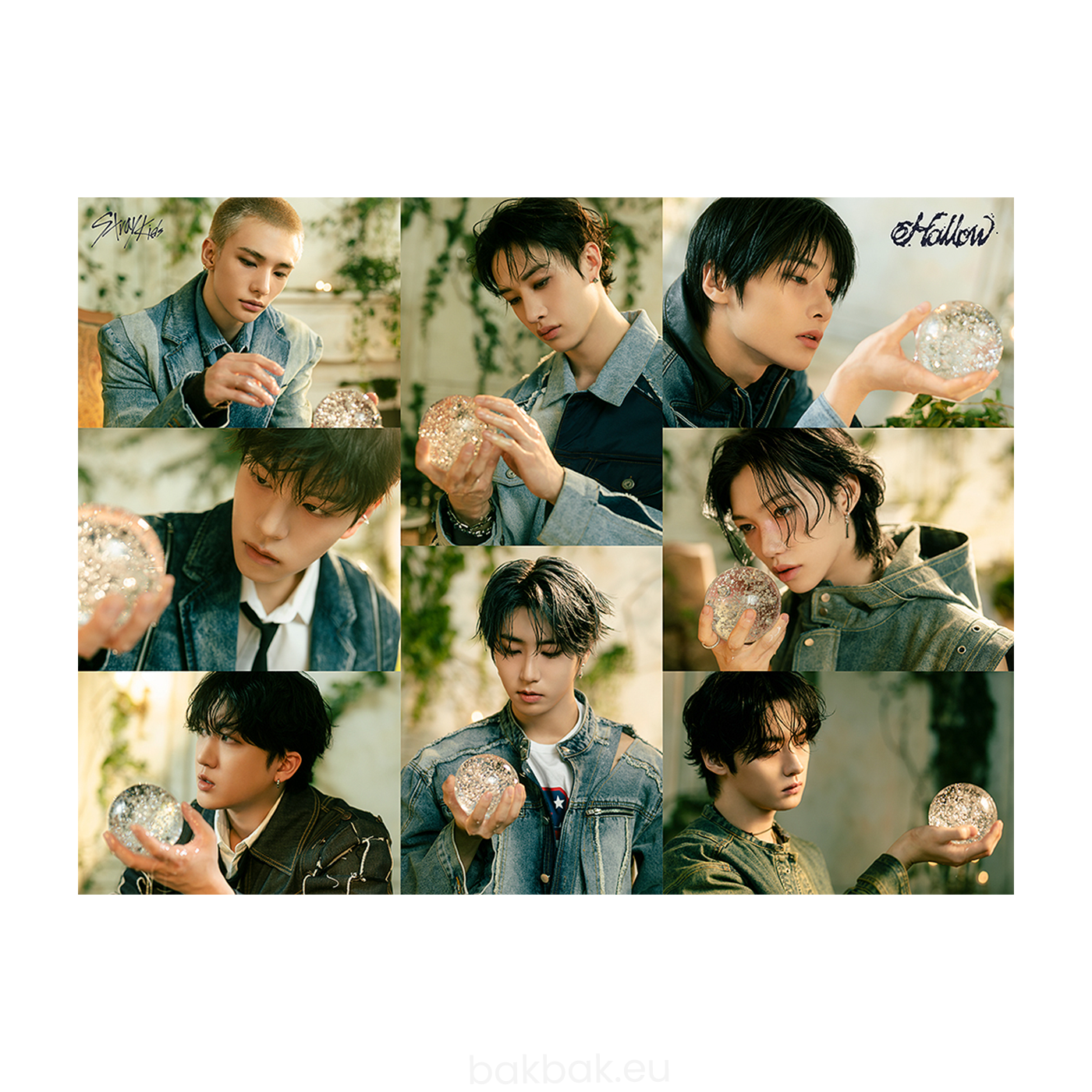 Stray Kids- Hollow Japan 3rd Mini Album [Limited pressing]