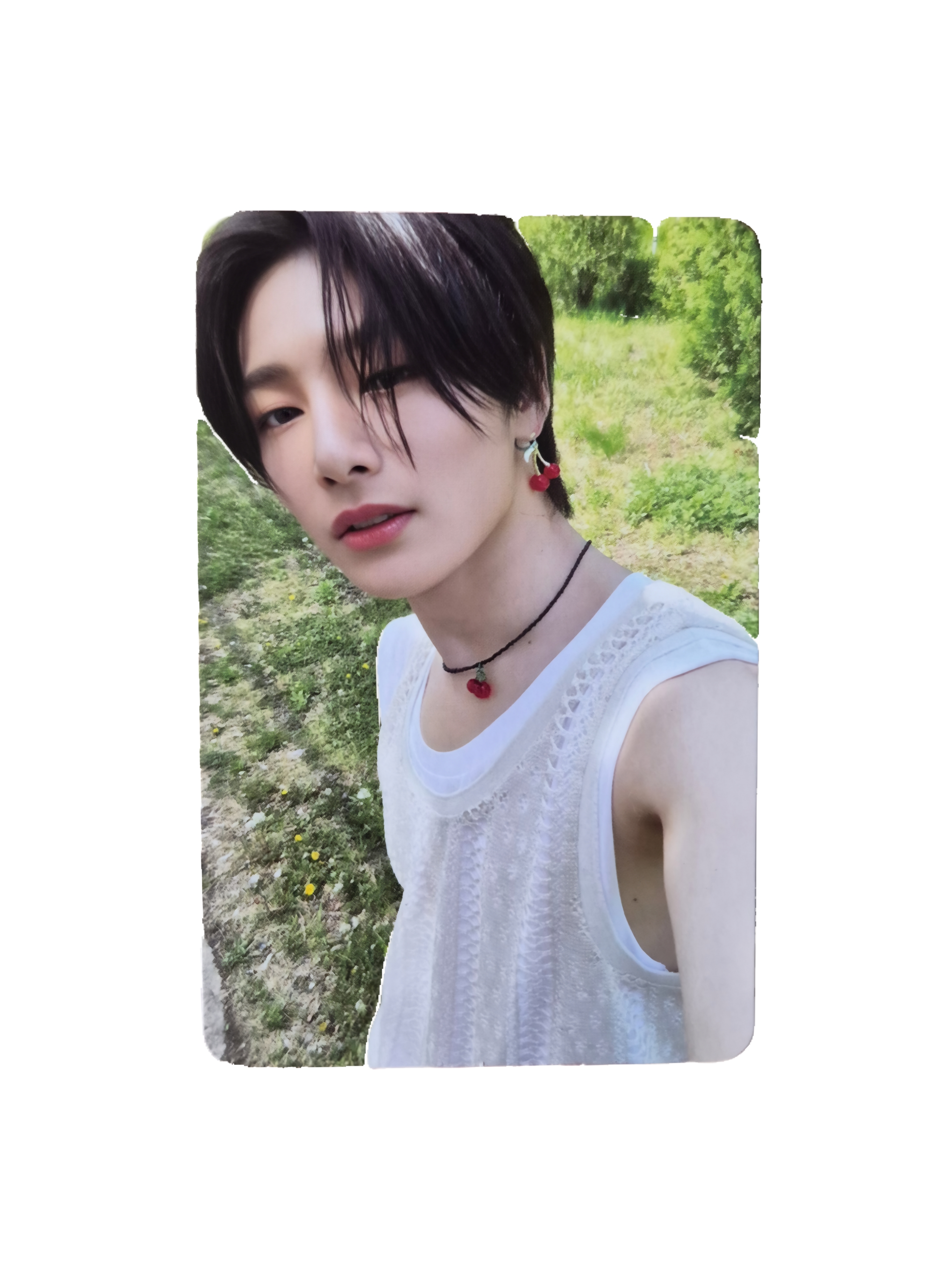 Stray Kids I.N Maxident photocard