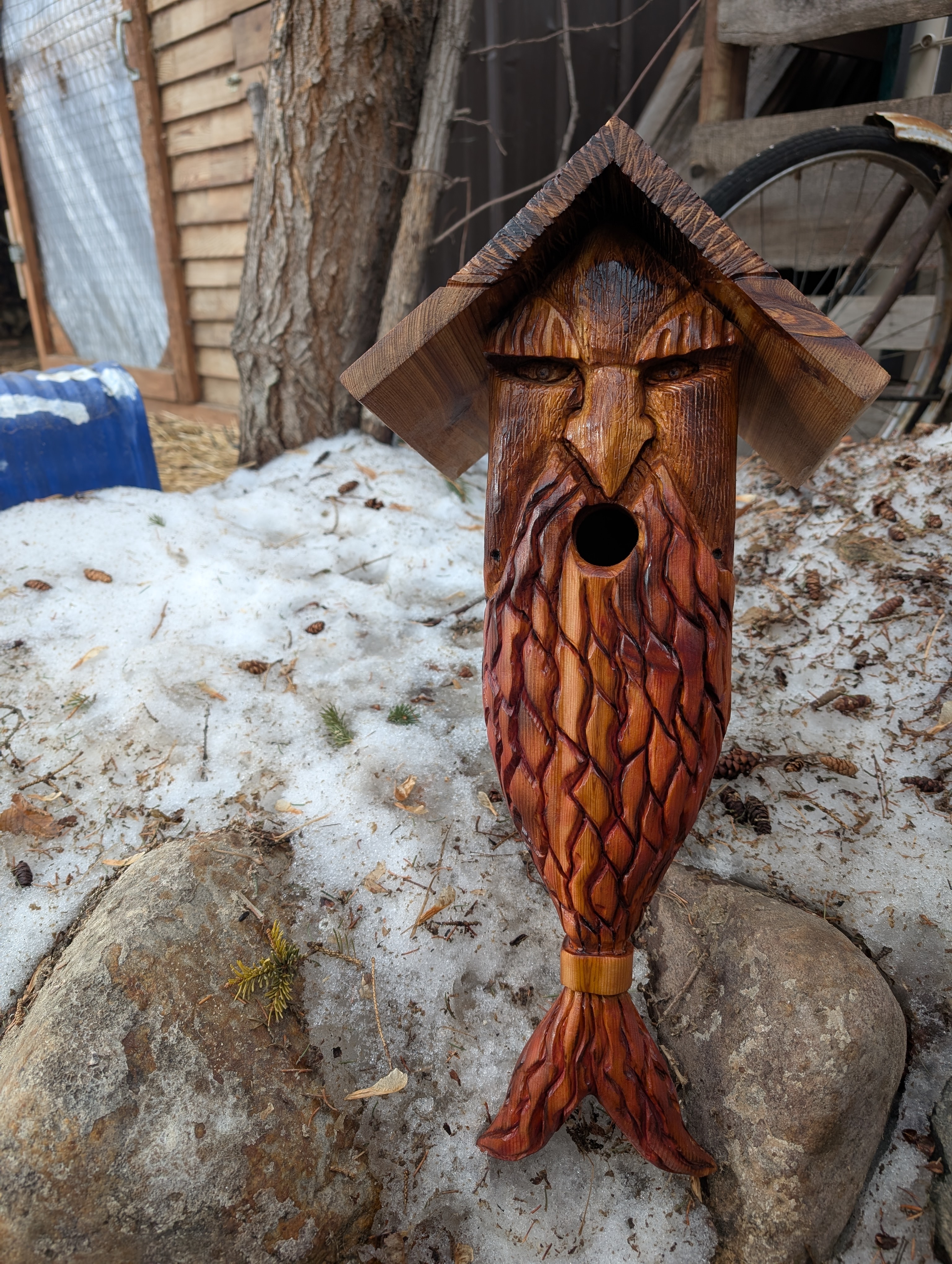 Viking Beard Hand-Carved Cedar Birdhouse
