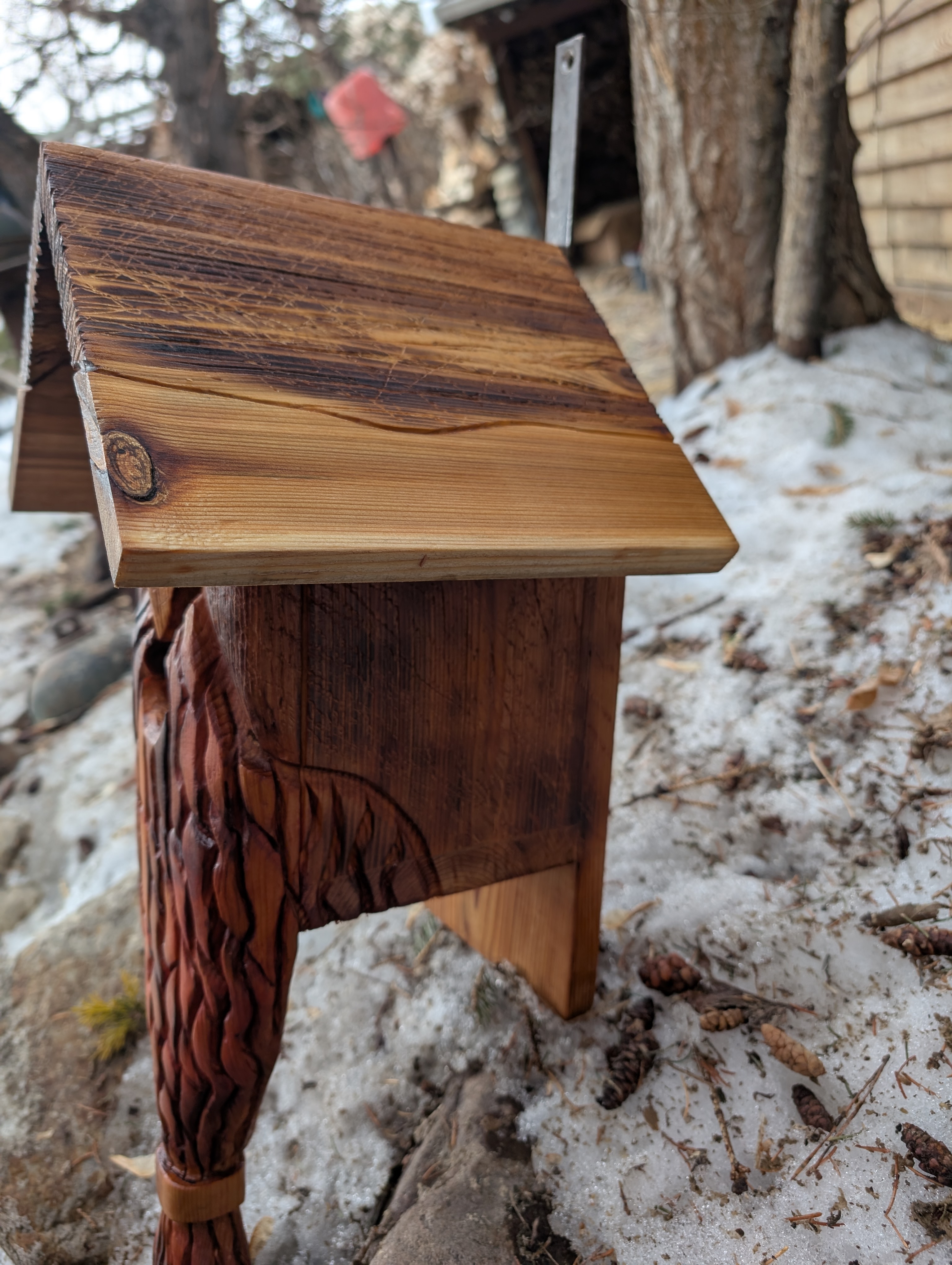 Viking Beard Hand-Carved Cedar Birdhouse
