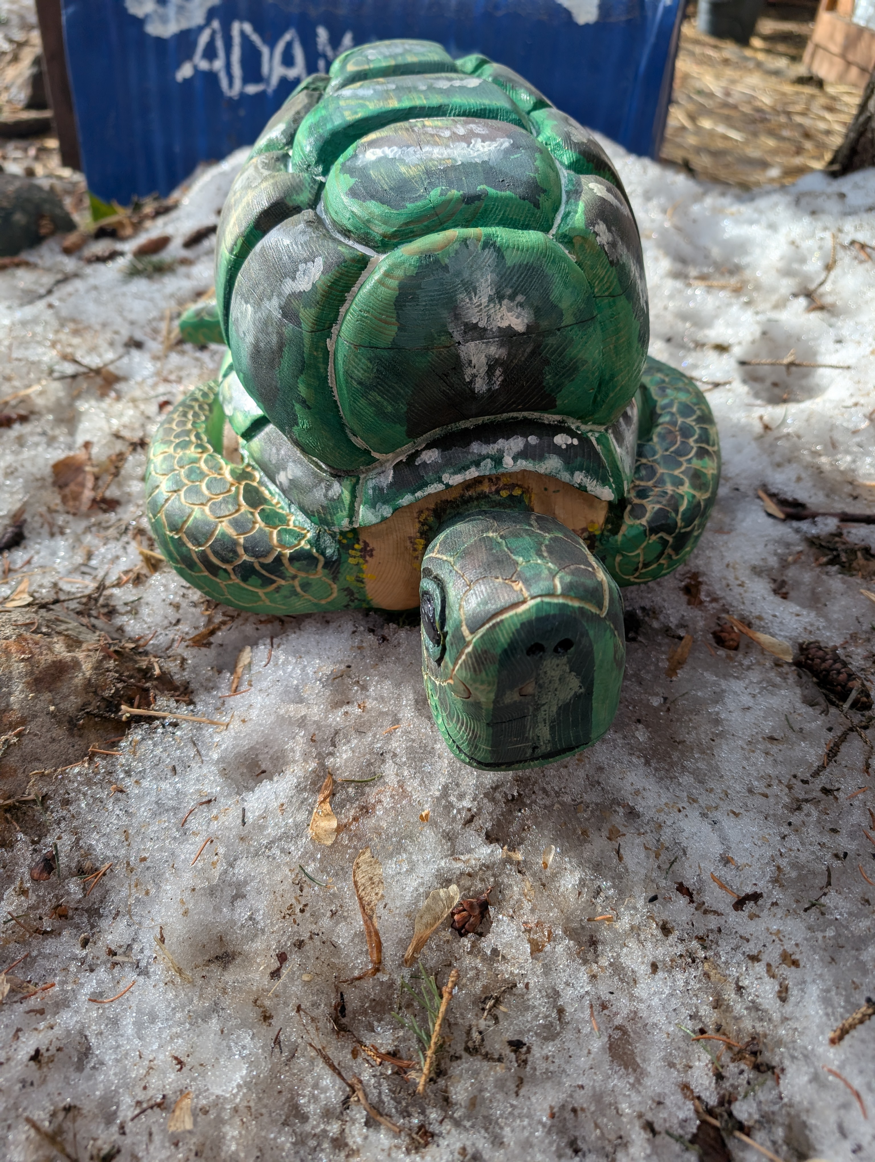 Decorative Carved Turtle