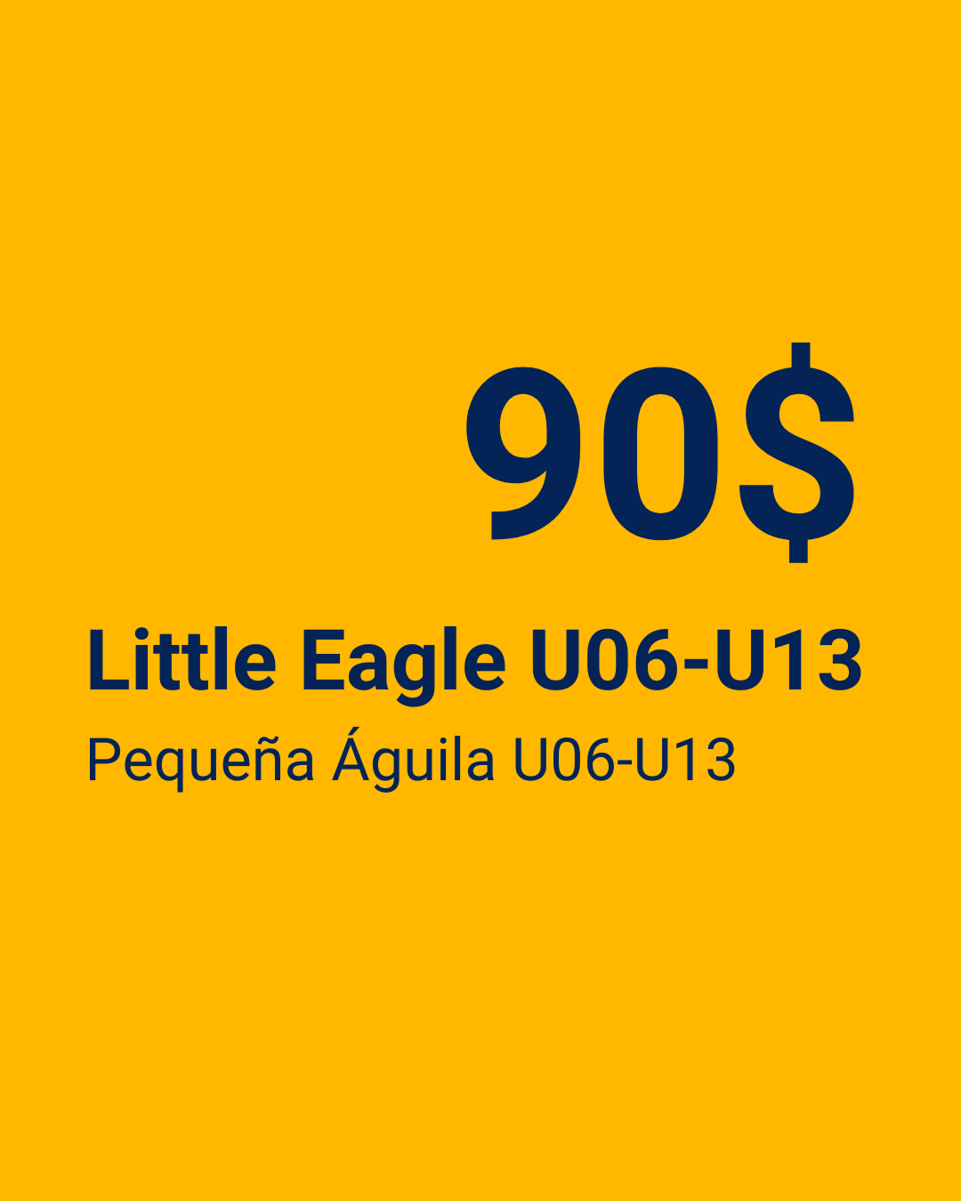 Little Eagle U06-U13