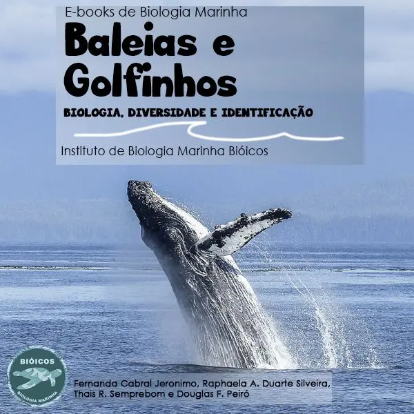 Baleias e Golfinhos: E-book Biologia, Diversidade e Identificação