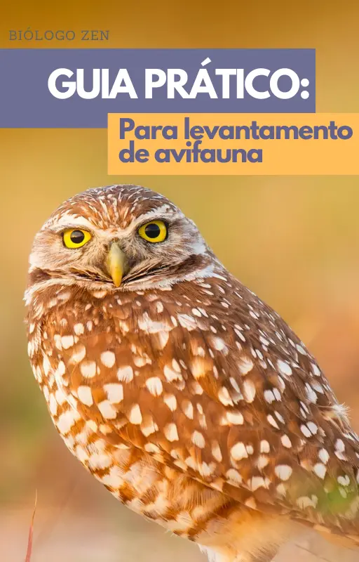 Guia prático: Para levantamento de avifauna