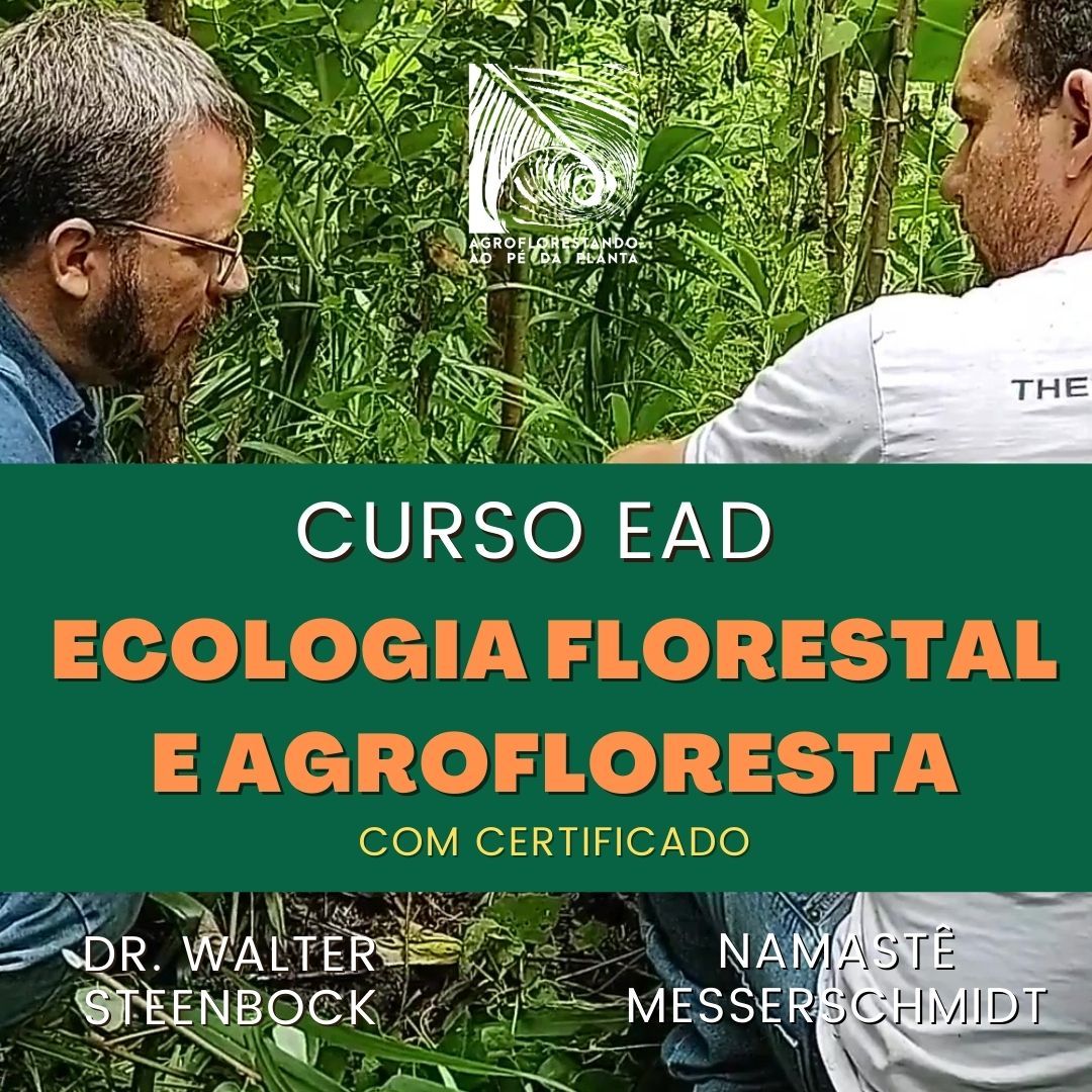 Curso Ecologia Florestal e Agrofloresta