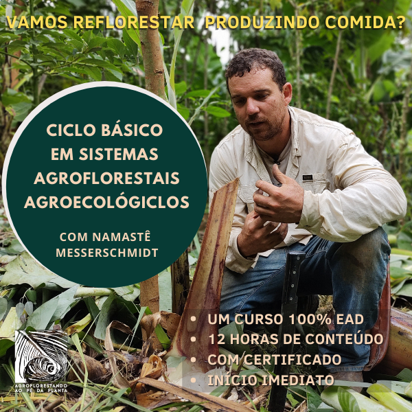 Curso Básico em Sistemas Agroflorestais