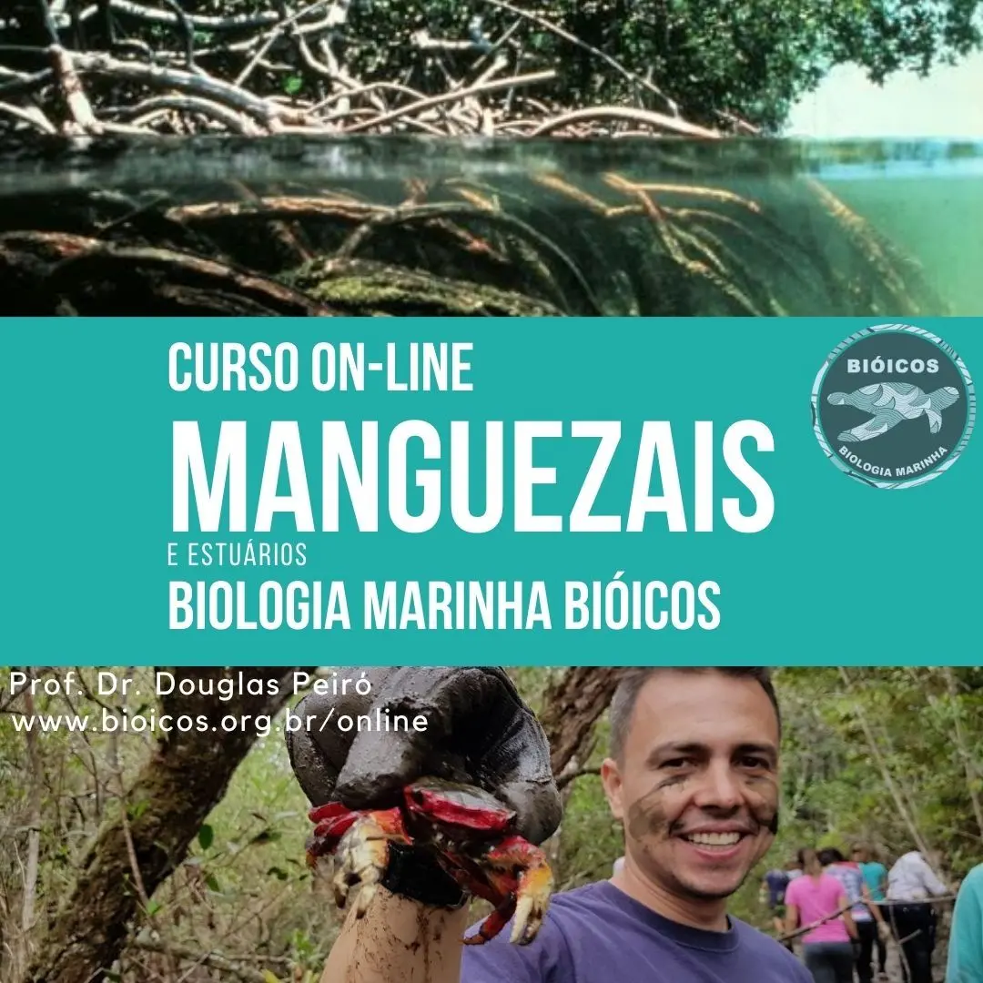 Curso On-line Manguezais e Estuários
