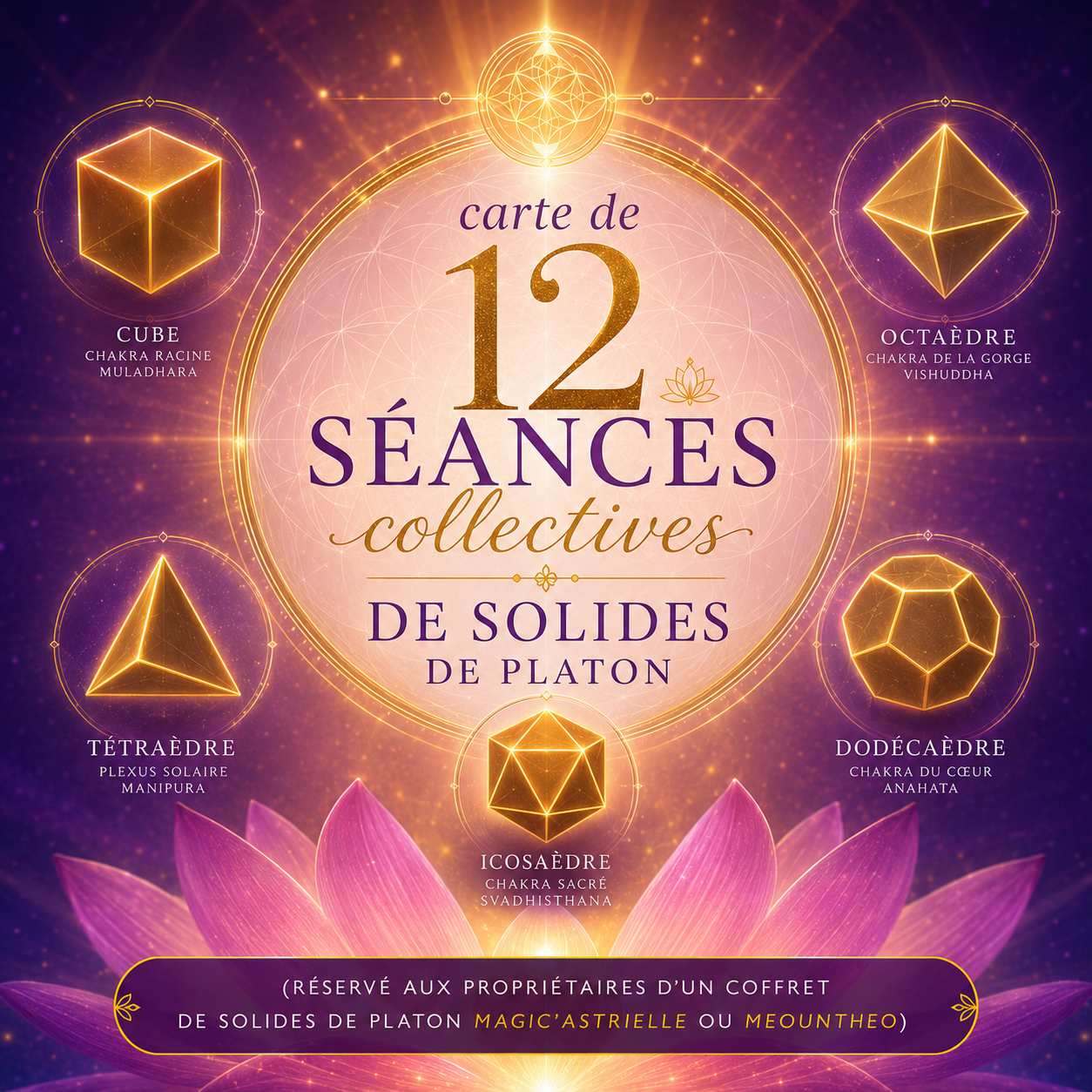 carte de 12 séances collectives de Solides de Platon 