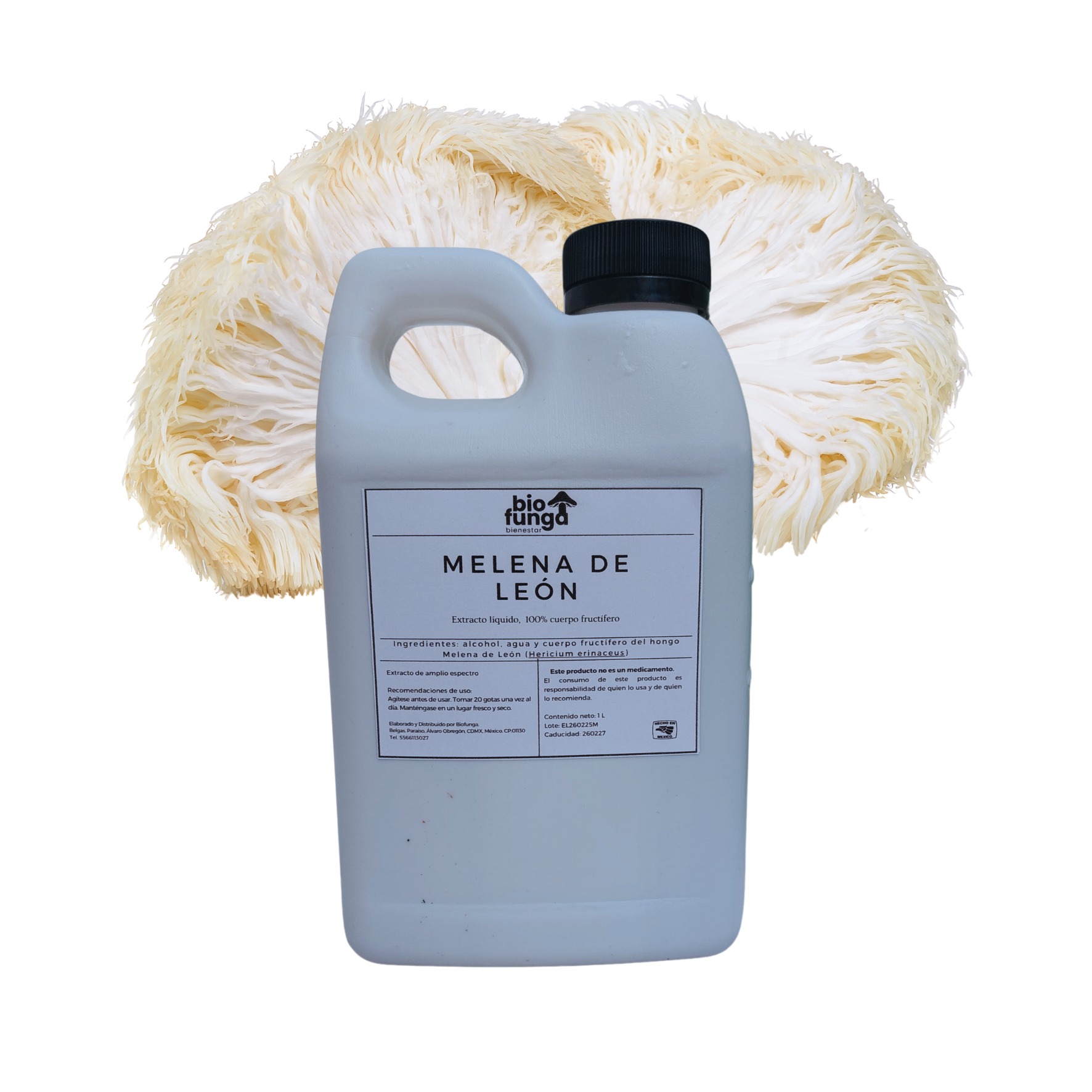 Melena de León 1 Litro