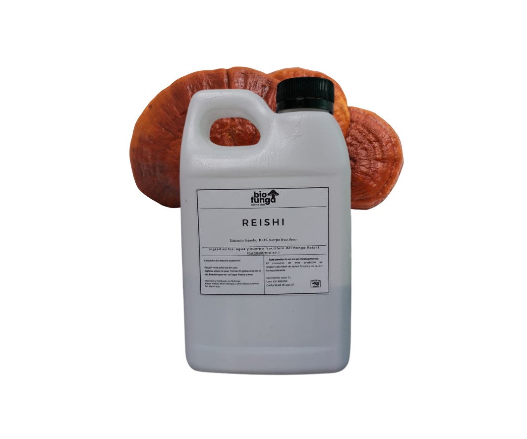 Reishi 1 Litro