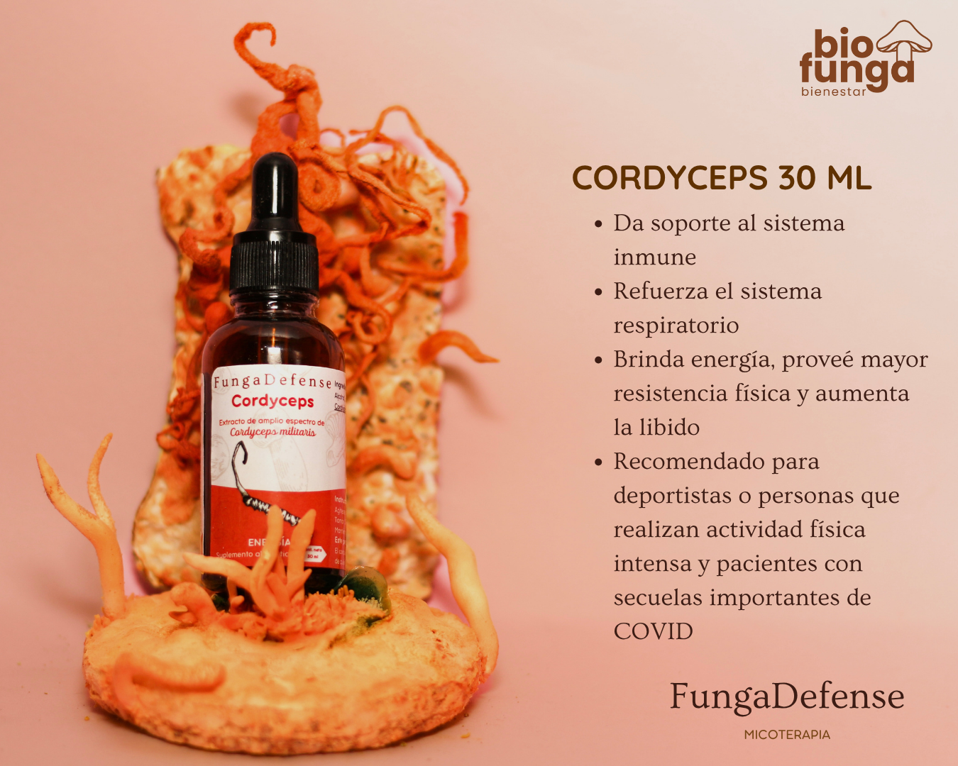 Cordyceps
