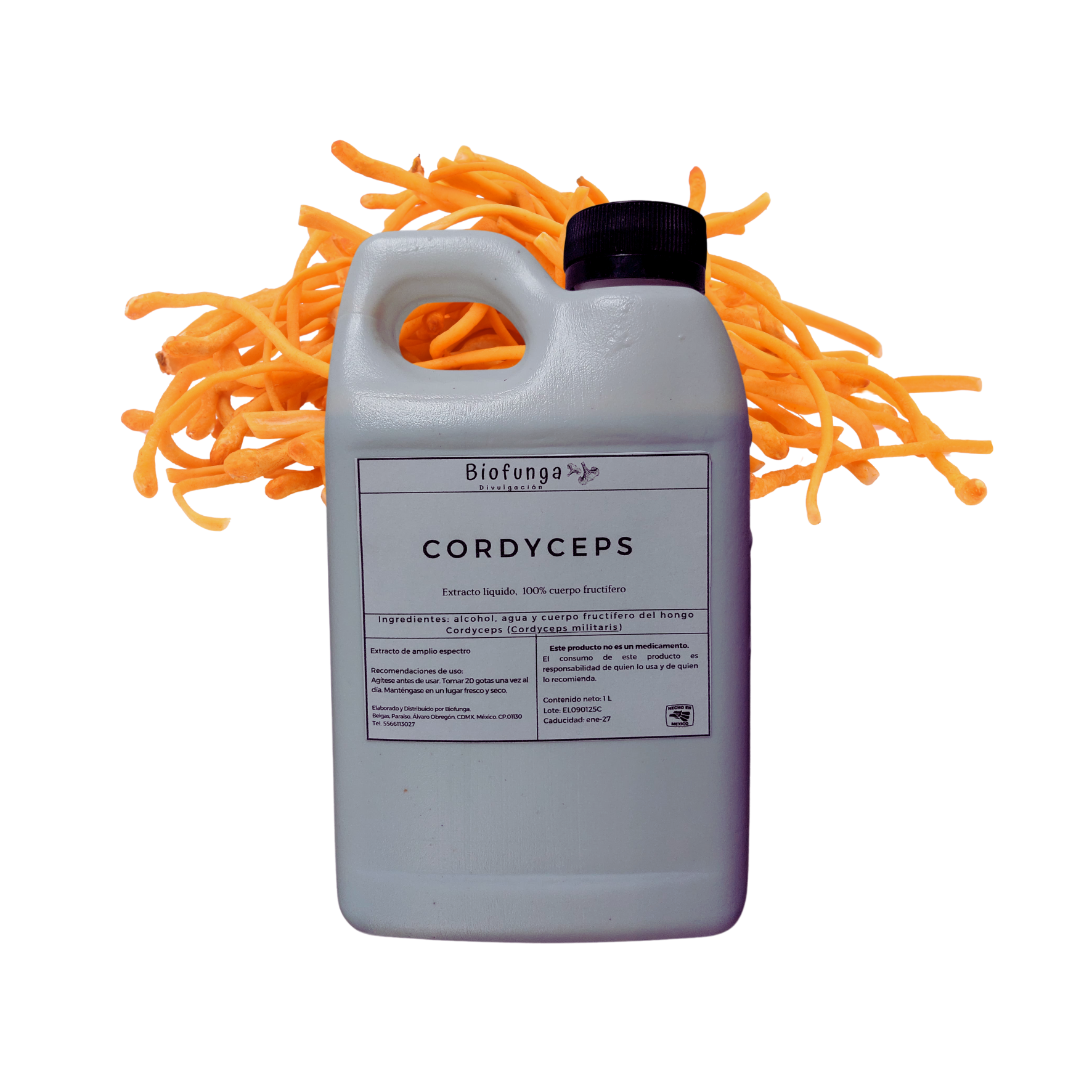Cordyceps 1 Litro