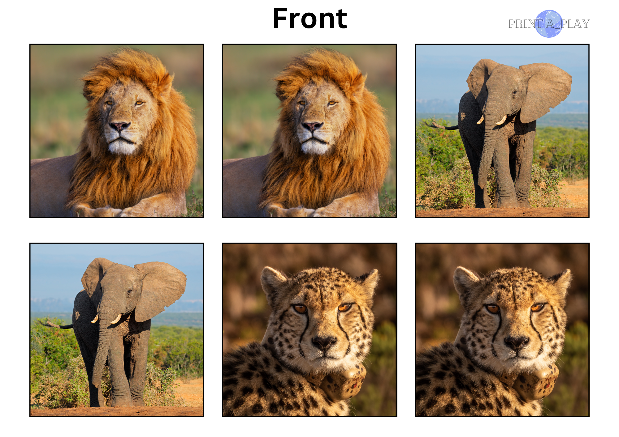 African Animals Memory Card Game