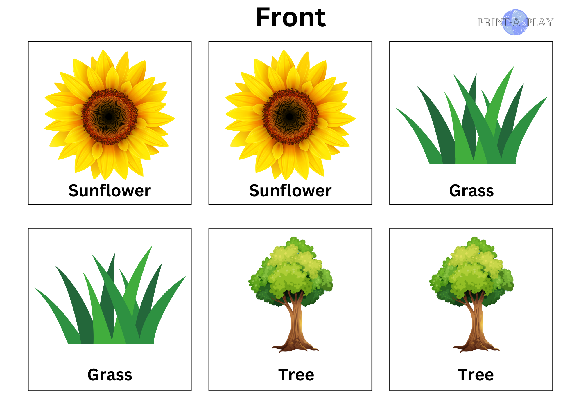 Spring Memory Card Game