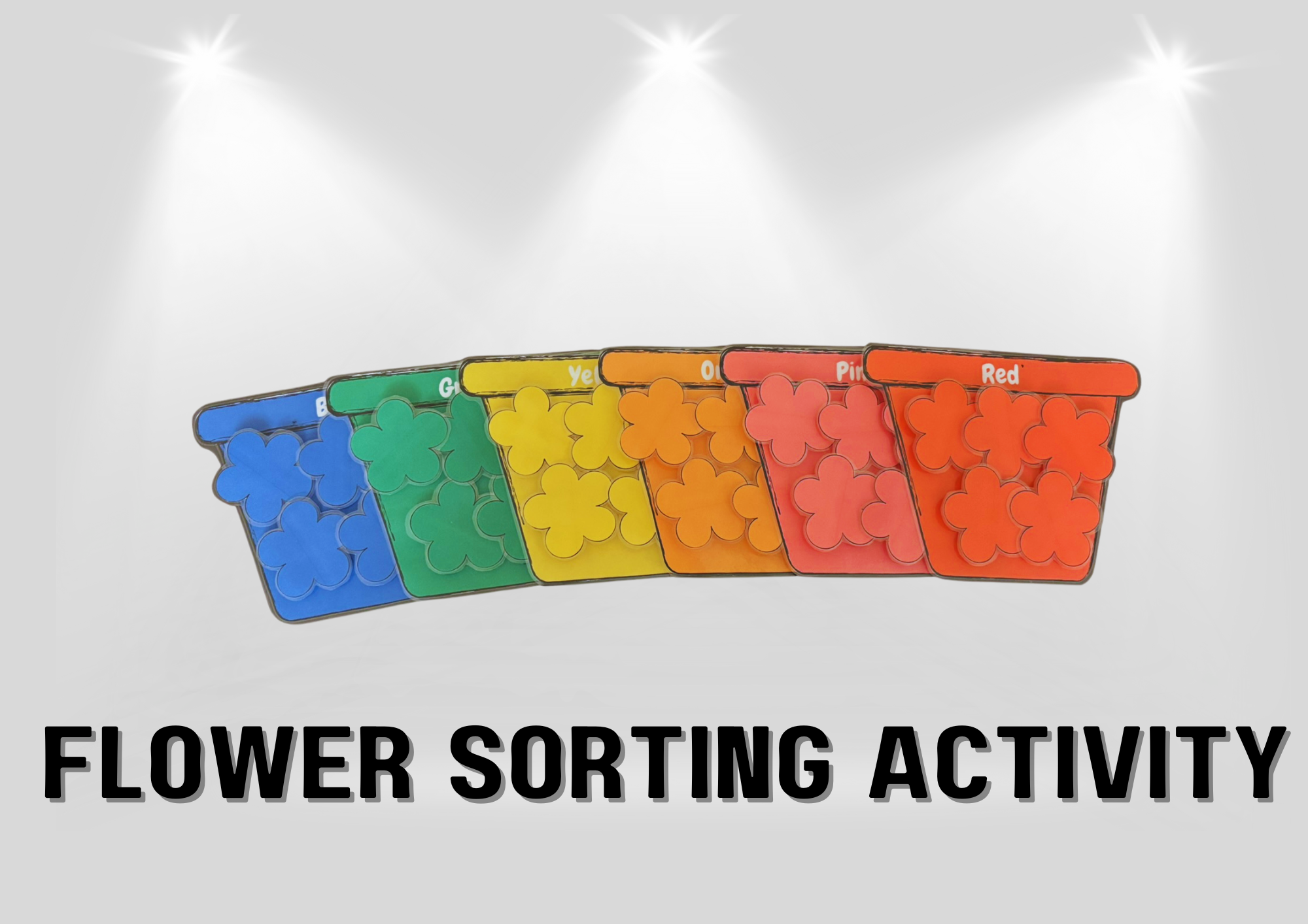 Flower Sorting Activity