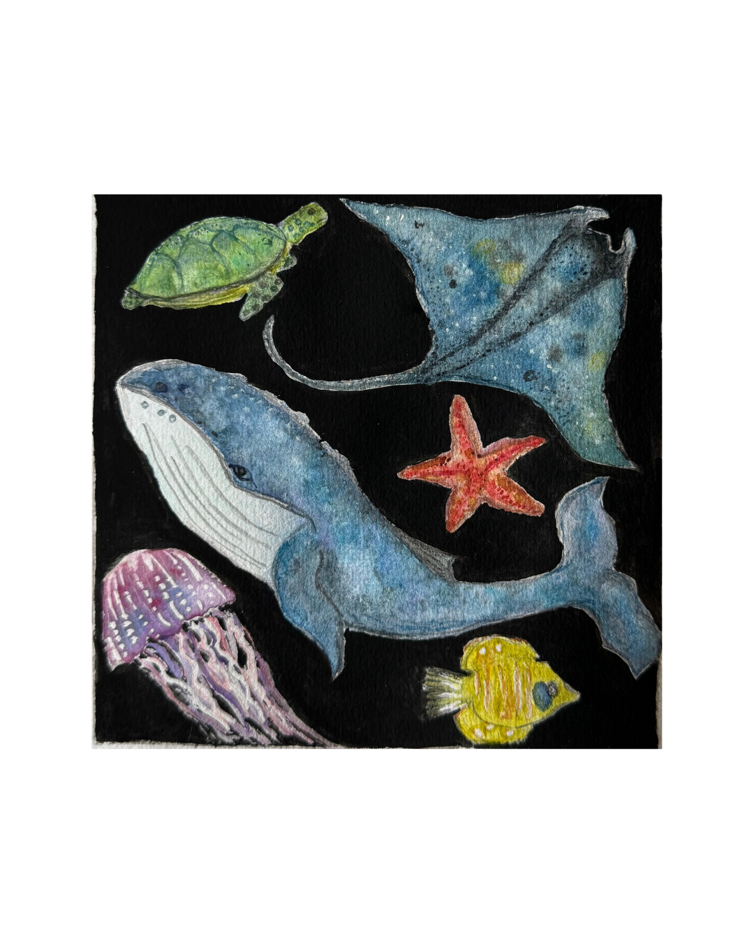 Sea life