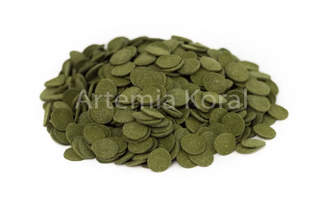 Artemia Koral spirulinos diskai (sveriamas)