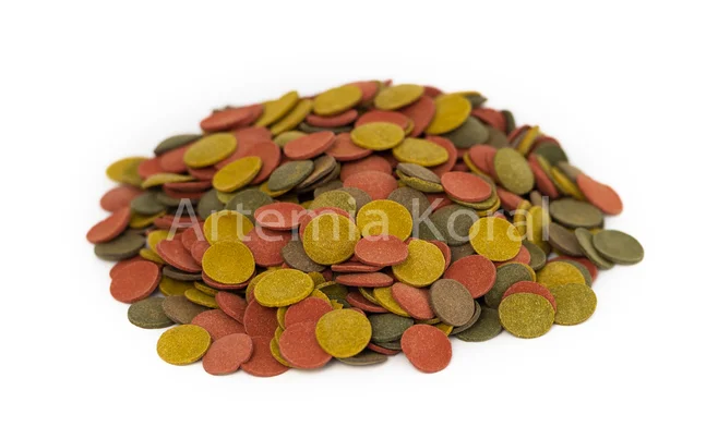 Artemia Koral mišrūs diskai (sveriamas)