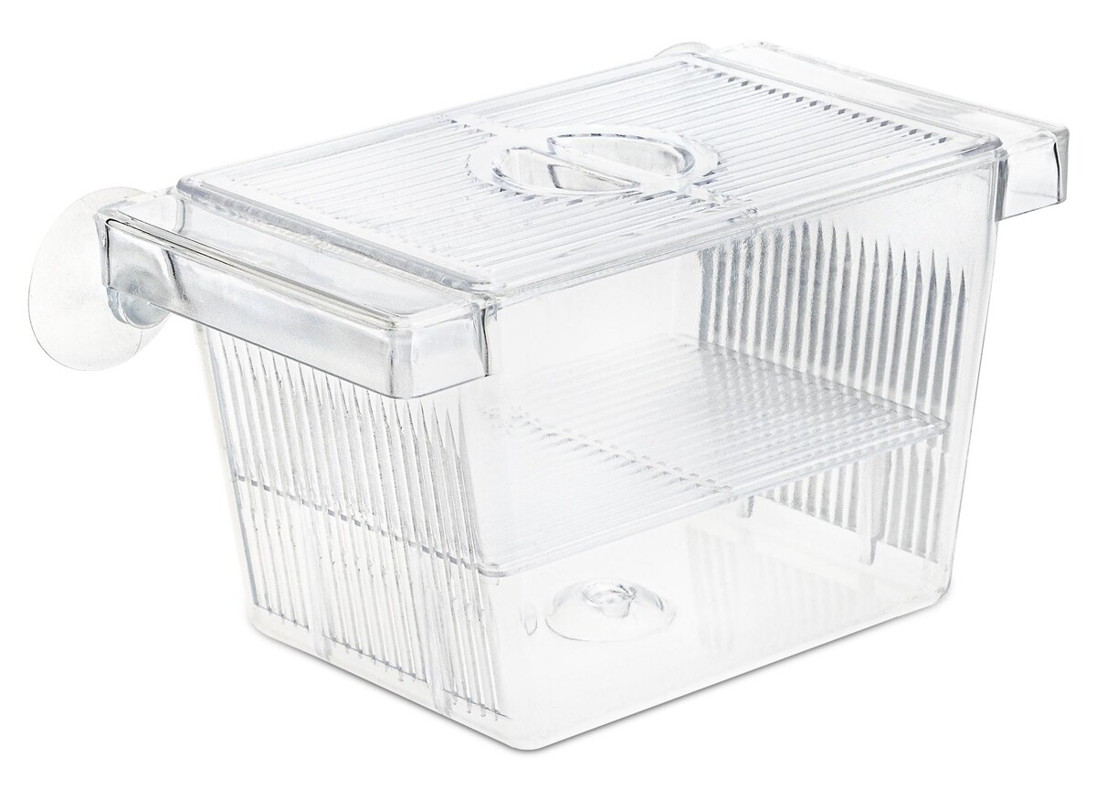 Naršyklė plastikinė S dydžio