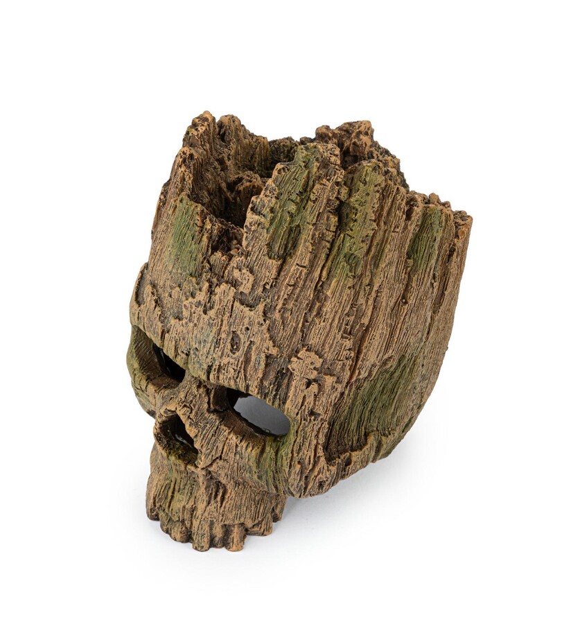 Medžio imitacijos kaukolė