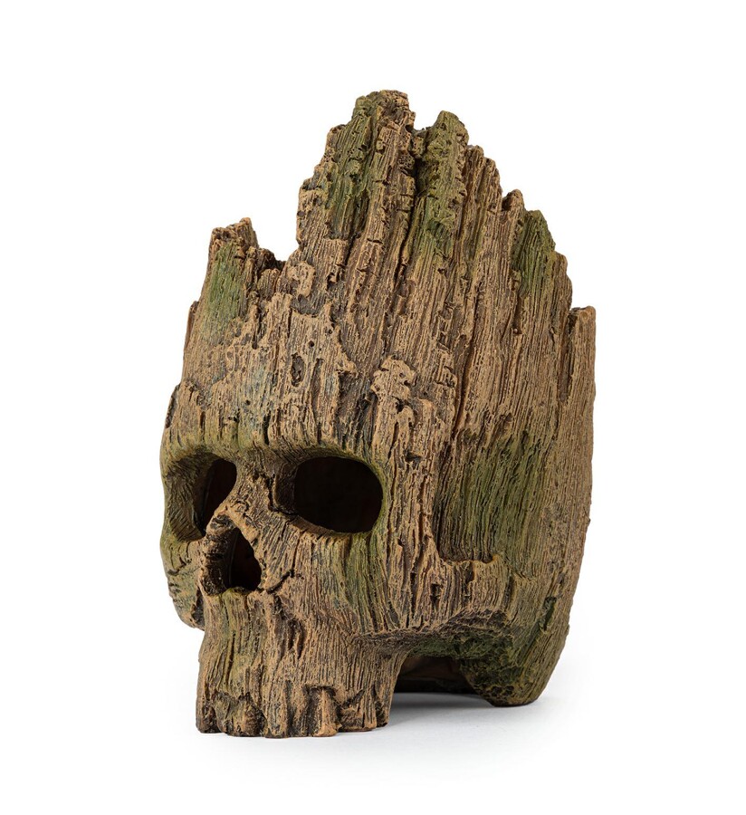 Medžio imitacijos kaukolė