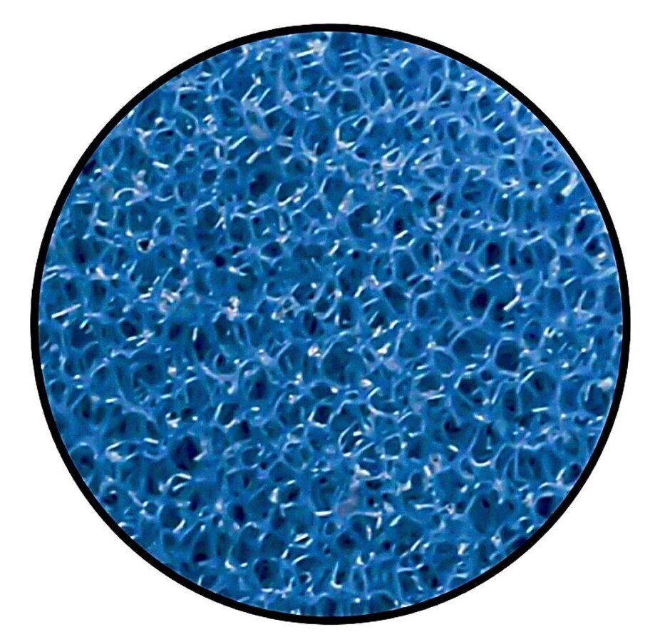 Super bio kempinė L